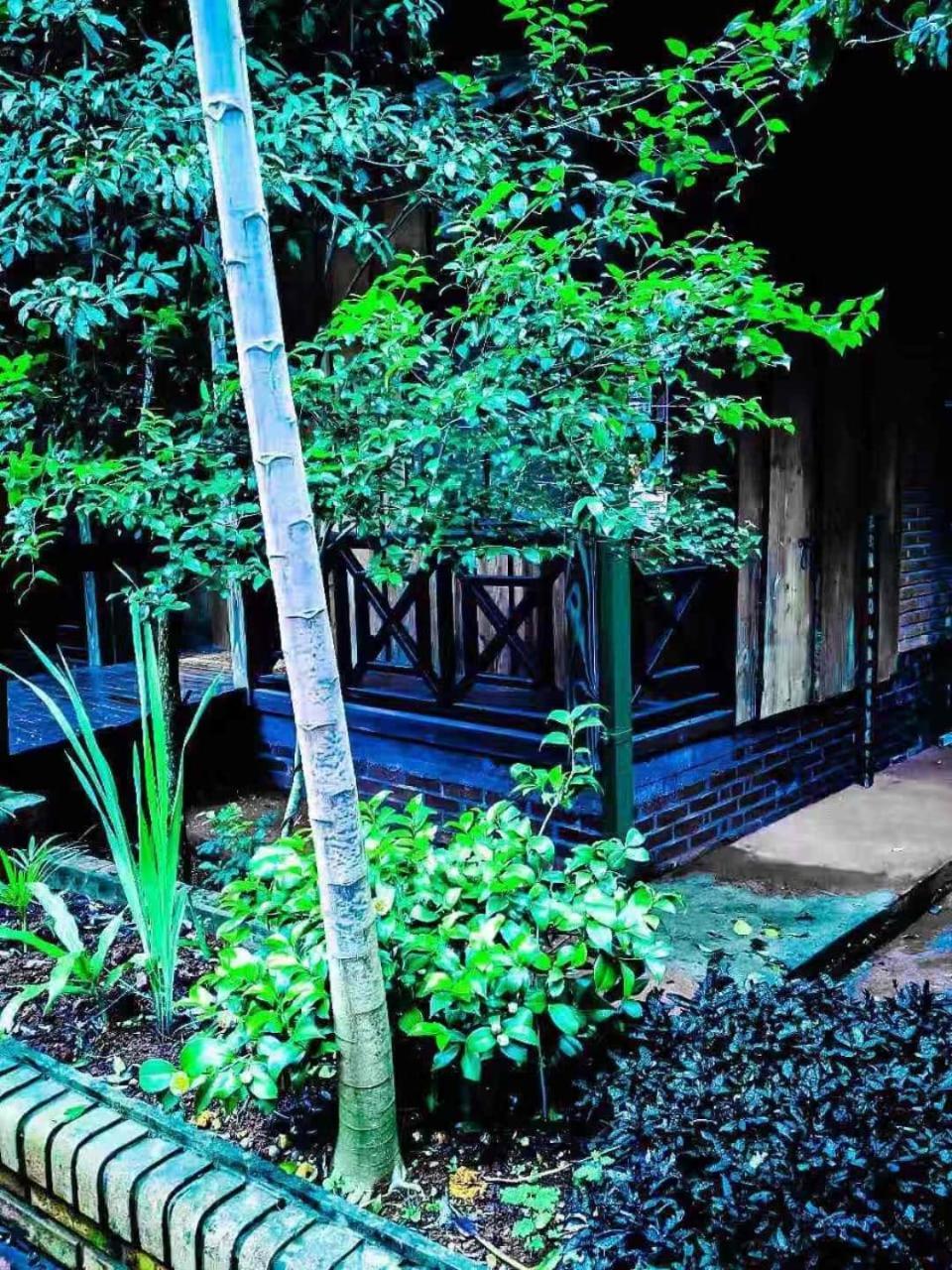 Palo Rosa Lodge Puerto Iguazu Luaran gambar